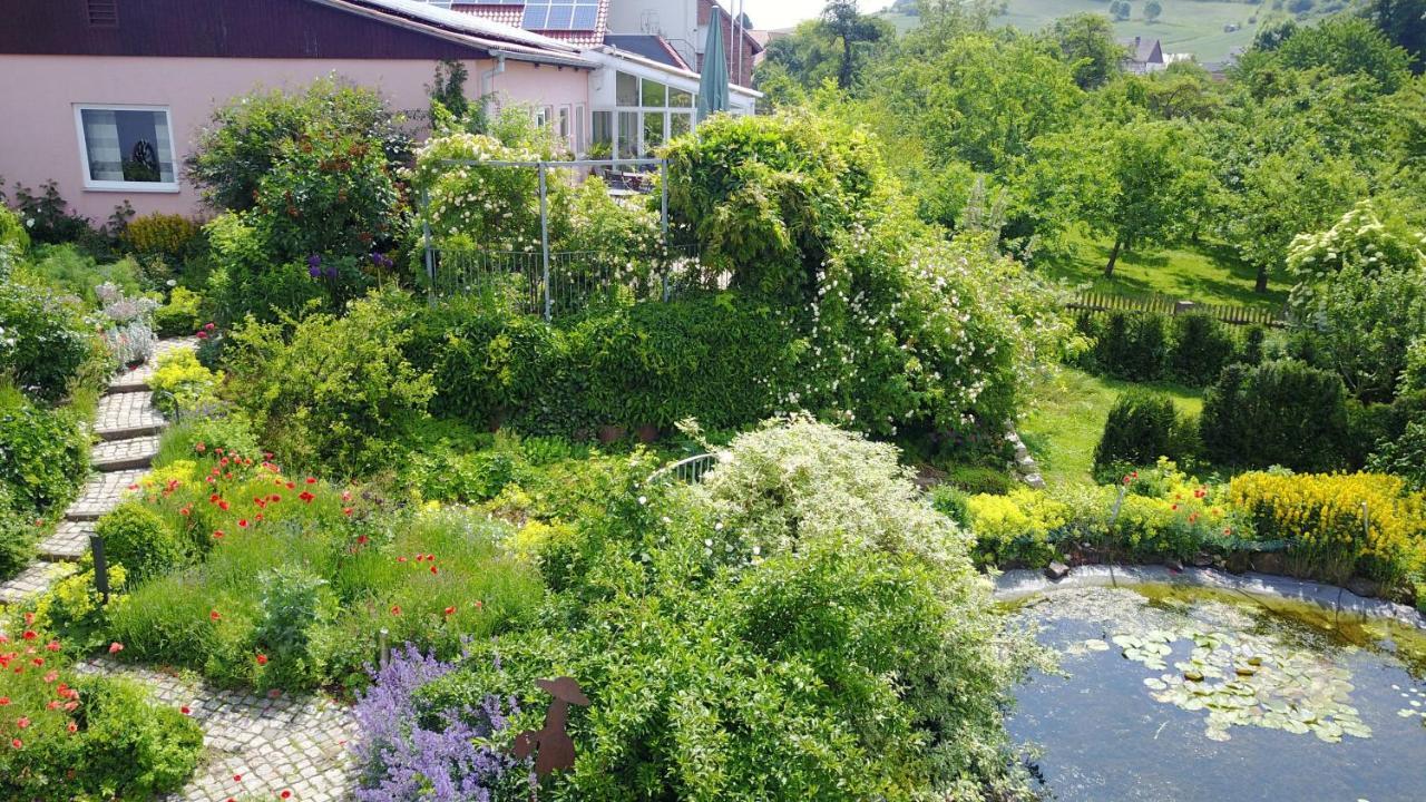 Gasthaus Winkelvoss Einbeck Eksteriør bilde